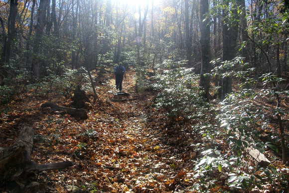 Hiking the Laurel Prong Trail