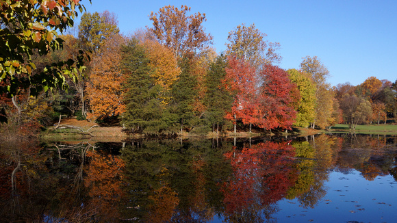 Links Pond - sunny fall morning