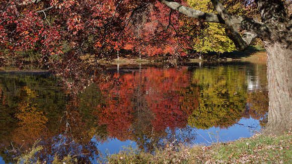 Fall color reflections - Links Pond