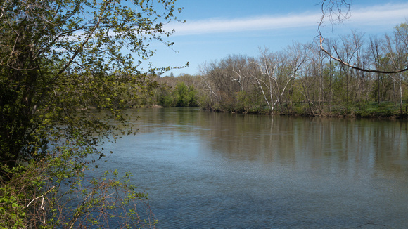 Shenandoah River from Rt 621