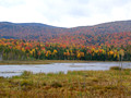 Adirondack color - near Long Lake NY
