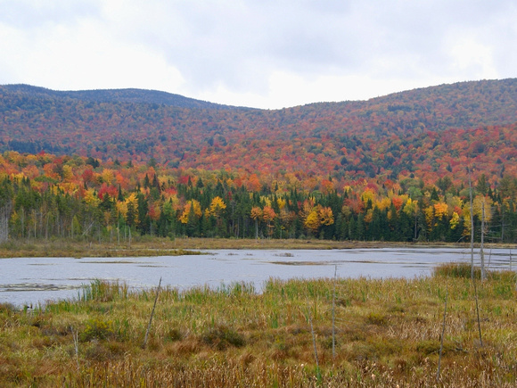 Adirondack color - near Long Lake NY