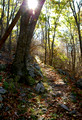 Bearfence Trail backlit