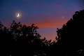 Moon & Venus at dusk  over Big Meadow Lodge