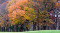 Fading colors - 11th fairway