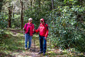 Barb and Norm having found the elusive Red Spruce Trail - Blackwater Falls
