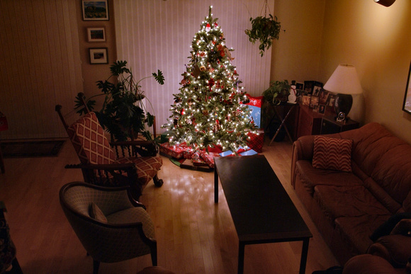 The Tree