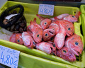 More fish - Ribera market - Bilbao