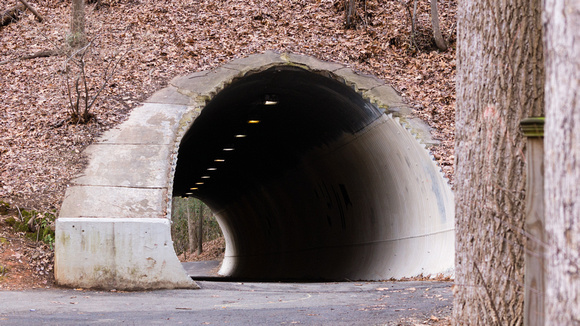 Tunnel near SLHS
