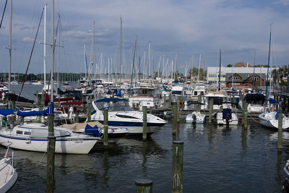 Crowded marina from Carrol's Creek Cafe