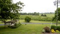 View from the deck - Shenandoah Vineyards