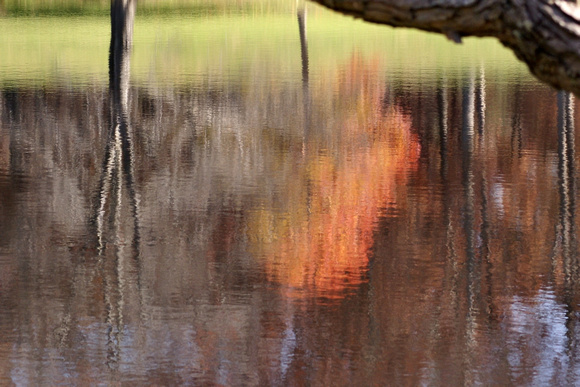 Fall reflections - Links Pond