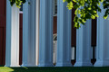 Payne Hall columns - Washington & Lee University