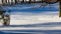 Ripples on the golf course