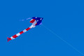 A high-flying kite.