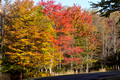 Color on the road to our cabins