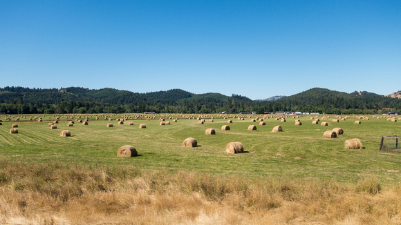 More bales - North Bank Road