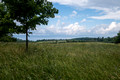 View of Lake Champlain from Shelburne Farms