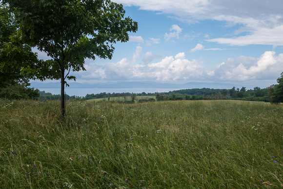 View of Lake Champlain from Shelburne Farms