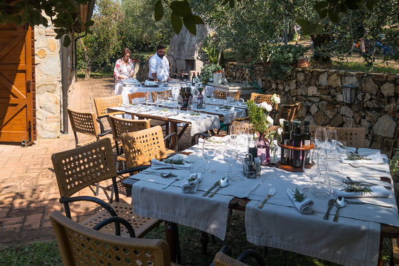 Outdoor dining at the olive grove