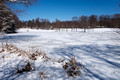 Links Pond - frozen since early January