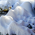 Snow Trulli