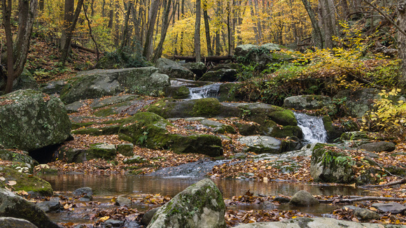 Dark Hollow creek